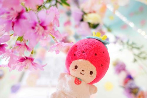 きれいなおはな〜