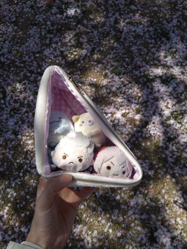 桜の絨毯と小さなお友達🌸