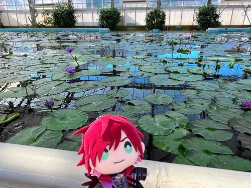 暖かくなってきたね。