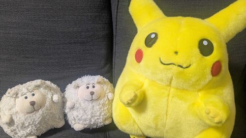 ソファをオキシ漬けしてピカピカじゃじゃ
ピカチュウもピカピカ嬉しそうじゃじゃね