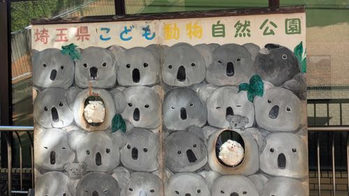 去年動物園にいったときの記念写真です！