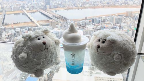 【昔の写真シリーズ】
梅田スカイビルでクリームソーダを飲んだじゃじゃ
高いし机はすけすけで、ちょっと怖かったじゃじゃ
