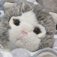 シフォン(しーちゃん)