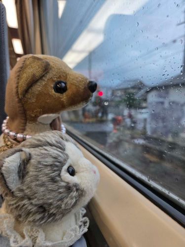 クッキー🐶とママとお出かけして帰りの電車での写真📷

🐱「お出かけ楽しかったね✨とっても…ねむいにゃ…」