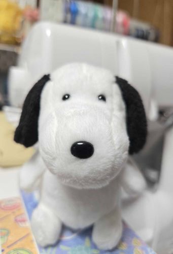 バムとケロっていう絵本のシリーズに出てくる、ヤメピをお迎えしたよ🍀
お洋服どんなの作ろうかな？