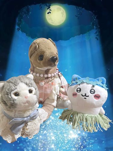 クッキー🐶とハチワレとしーちゃん🐱
ハチワレの衣装は、ママの手作り🌺

🐱「しーちゃんにも、作ってニャ」