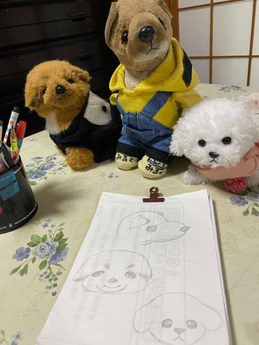 5年ぐらい前に、ママがクッキー達を描いてくれた時のお写真📷
左が長女のシナモン🐶(柴犬)
右が次女のレモン🐶(ビションフリーゼ)

シナモンはクッキー似、レモンはお父さんのバター君に似て真っ白でふわふわ🍀