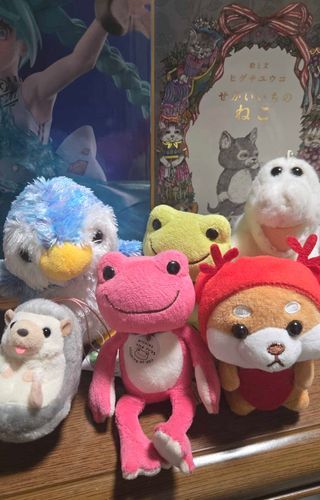 ハードオフやブックオフで出会って連れて帰ってきました✨

🐶「赤い柴犬ちゃん、クレーンゲームで100円で家族になってくれたよ🕹️🛸皆クッキーの家族🍀」