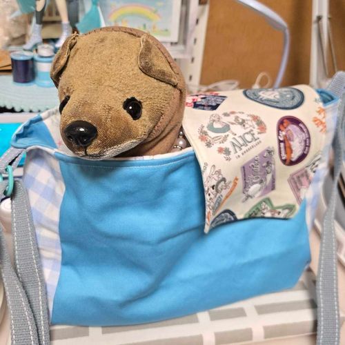 クッキー達ぬいぐるみの専用バッグ👜
ママに型紙から作ってもらったよ🍀
ここに入って、いっぱいお出かけしたいなぁ🐶✨