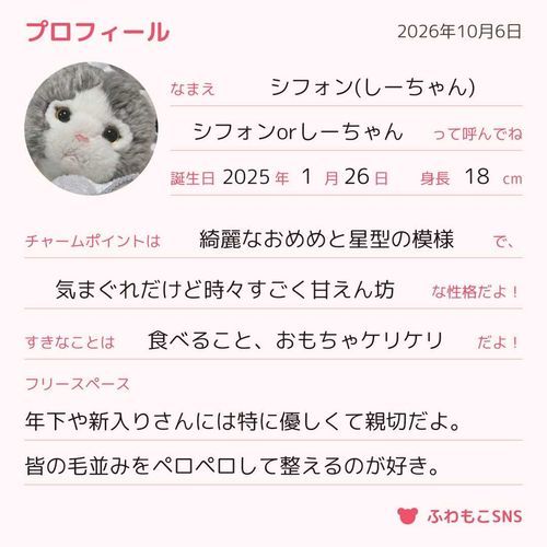 🐱「しーちゃんも、プロフィール書いたよ🍀お友だち、増えたらいいニャ～✨」