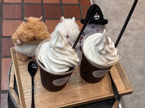 ｢ふわちゃんとおともだちのごんちゃんとコーヒーフロートたべたよ！｣