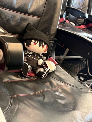 「……これが、飛行機」

隣が空席だったので撮影📸