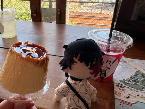 「千光寺山降りた麓の辺りにあったカフェでクールダウンだ」
「プリンアイス美味かったな」