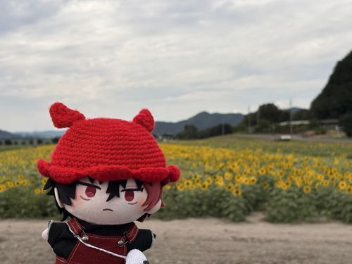 「敷地に入っていいか分からなかったから遠巻きに眺めた季節外れのひまわりだ」