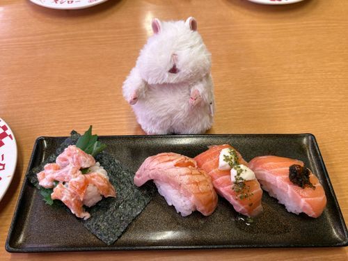 「こ、ここがスシロー……？」