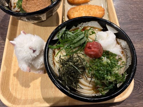 「ふるいちのぶっかけうどん！お醤油がしょっぱくなくて飲めちゃう」