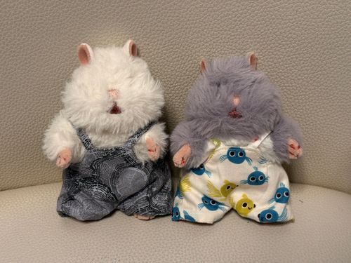 「サロペット作ってもらったよ！隣にいるのはお友達のごんちゃん！」