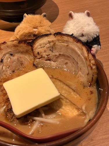｢味噌ラーメンとさっきお友達になったみそちゃん！｣
｢ふわぁ……！｣