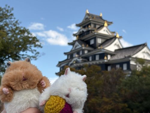 ｢ぼくみそちゃん！隣にいる白い子はふわちゃん！｣