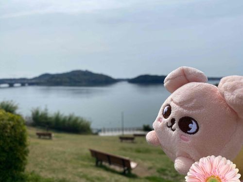 すこしおでかけしてきたよ🌸