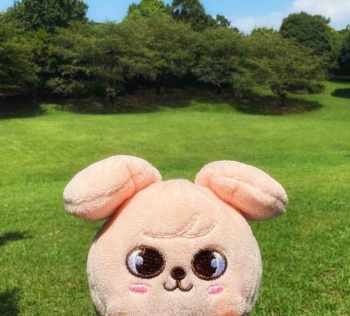 きょうで写真係のところにきて1年なんだって
これからもよろしくねって🐶