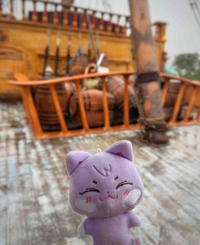 🏴‍☠️🐱
かむば本当にありがとうおめでとう
どの曲も本当に最高