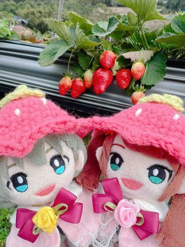 イチゴ狩り🍓