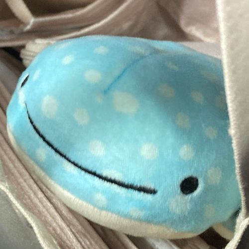 ぬいと和解せよ
