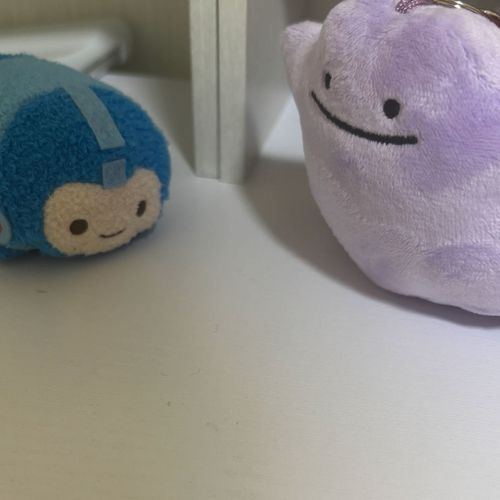 似たもの同士( ¨̮ )