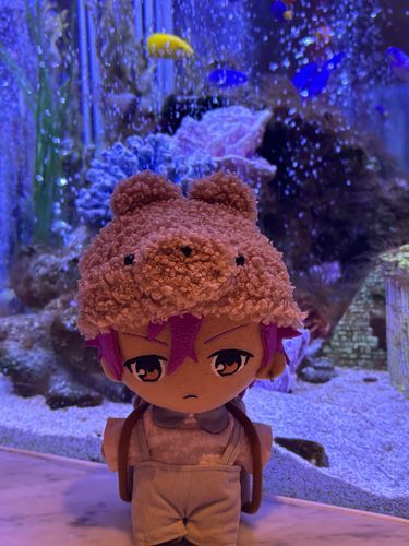 お魚さんがいてわくわく中