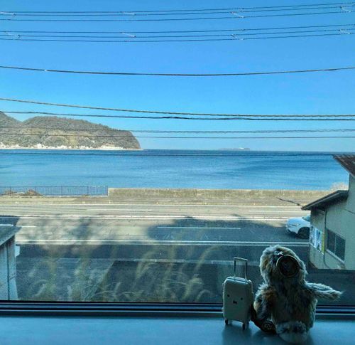 ホホホッホ🚆
（踊り子号からの景色）