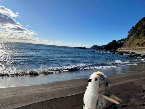 ホホッホゥ🌊
（朝の海岸、ダイナミックだねー）