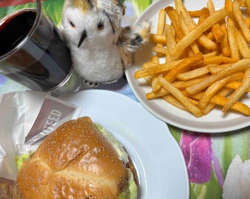 ホホゥホ🍔
（ハンバーガーとワイン🍷のお昼、LOVE）