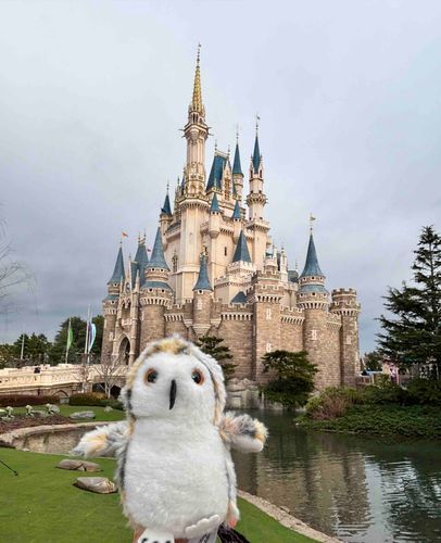 ホホホ🏰
（お城）