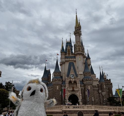 ホホッ🏰
（いつもの場所✌️）