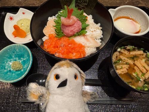 ホゥホホゥ🦞🐟
（素敵なお夕飯）