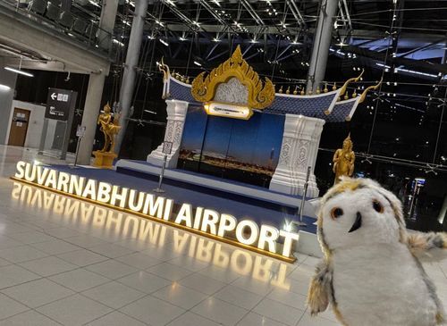 ホホッホホー🛬
（早朝のバンコク、スワンナプーム空港に到着。ハリーくん初のタイ🇹🇭）