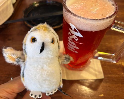 ホッホホー🍺
（ローズビールと呼ばれるピンク色のビールなのだ）