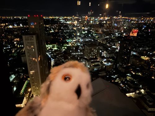 ホー！
（59階ラウンジからの眺め）