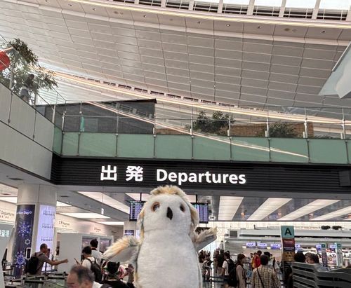 ホー🛫
（ハリーくんお盆の旅、出国）