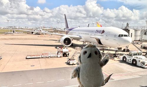 ホホッ🛫🇹🇭
（もうすぐ搭乗）