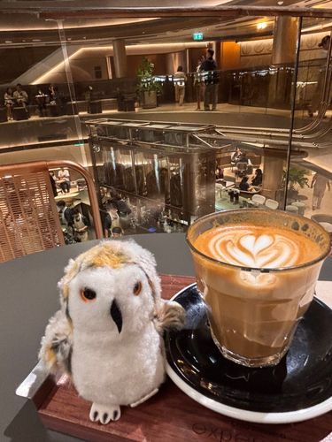 ホゥホー☕️
（Cafe Amazon旗艦店にやってきたハリーくん、お店は4層、大きくてびっくり😳）