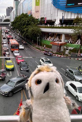 ホホホ🚕🚗🏍️🚙🚌
（タイの渋タイ…smile with me😘）