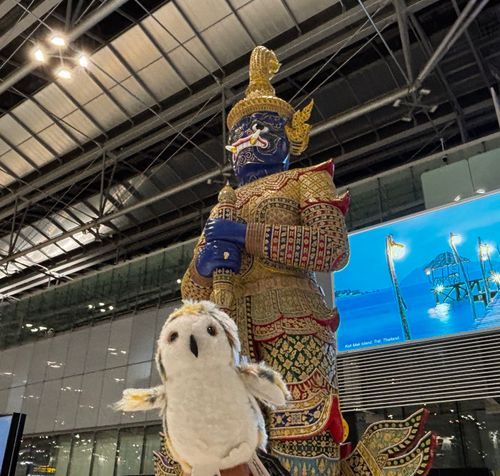 ホッ…👋
（さよならバンコク、また来る日まで。空港にて出国直前のハリーくん）