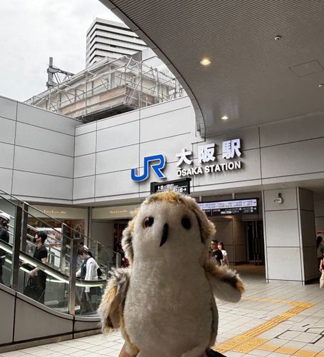 ホホー‼️
（グッドモーニング大阪）