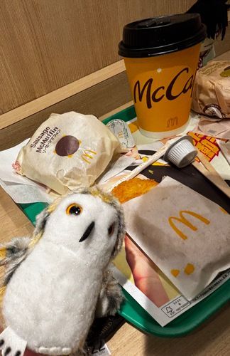 ホホー🍔
（朝マック）