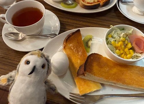 ホホホー☕️🍞
（からの老舗喫茶でモーニング）