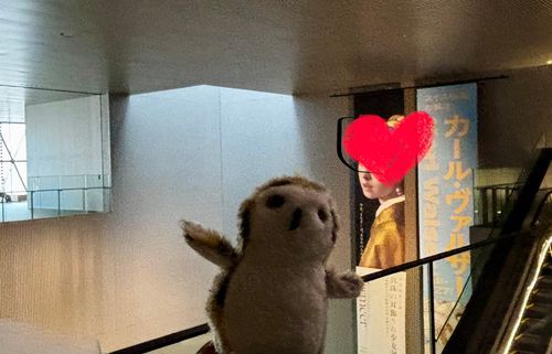 ホッホホー💙💛
（フェルメール展、真珠の耳飾りの少女に会いに）