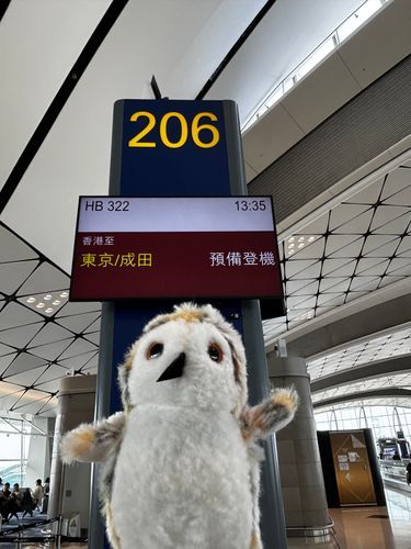 ホッ…👋
（さよなら香港、また来る日まで。楽しかったね）