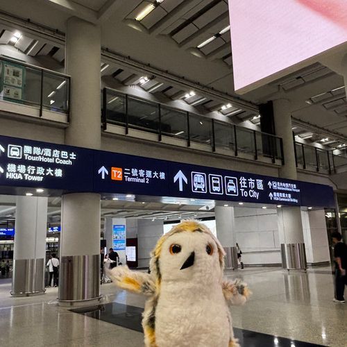ホッホホー🛬
（ハリーくんは初の香港🇭🇰）